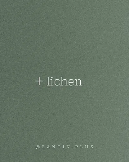 Lichen